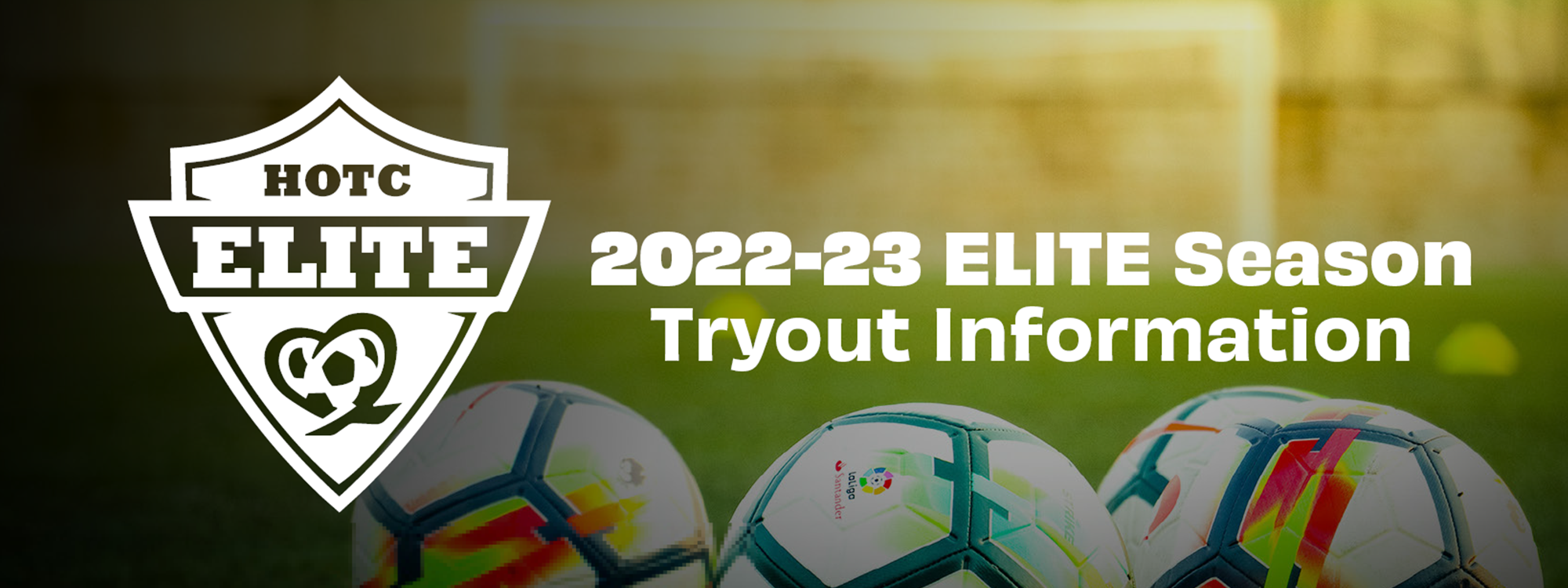 Tryout info banner website